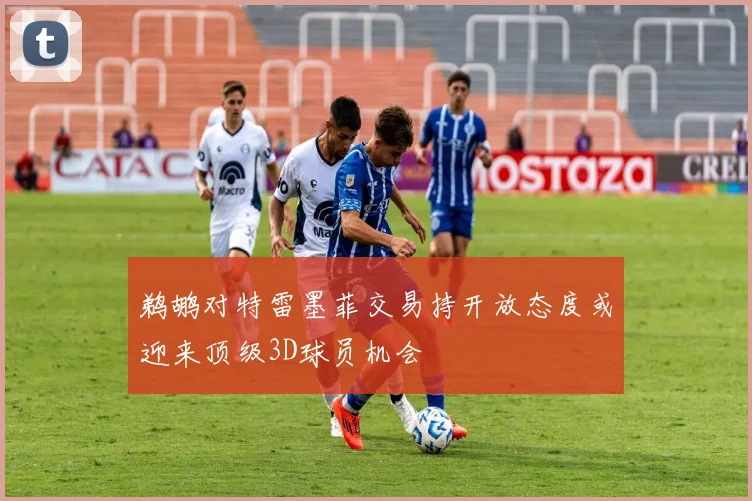 鹈鹕对特雷墨菲交易持开放态度或迎来顶级3D球员机会